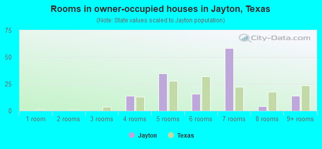 Rooms in owner-occupied houses in Jayton, Texas