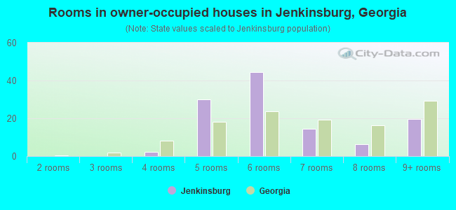 Rooms in owner-occupied houses in Jenkinsburg, Georgia