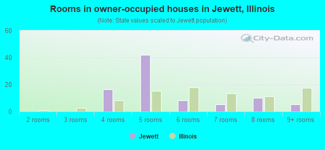 Rooms in owner-occupied houses in Jewett, Illinois