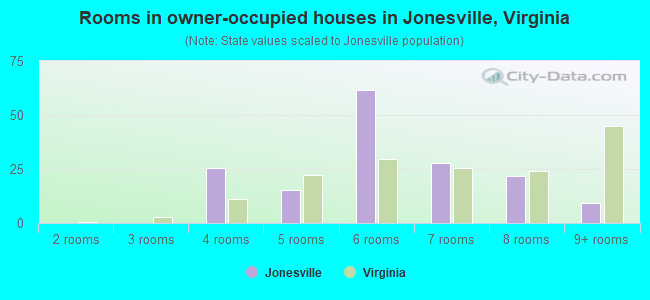 Rooms in owner-occupied houses in Jonesville, Virginia