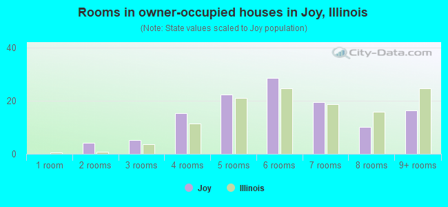 Rooms in owner-occupied houses in Joy, Illinois