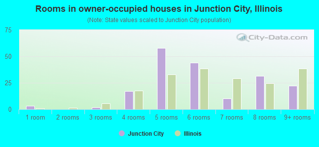 Rooms in owner-occupied houses in Junction City, Illinois