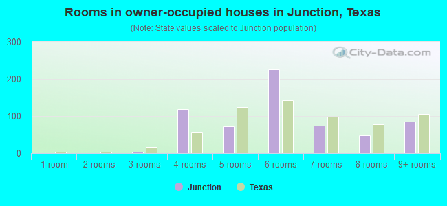 Rooms in owner-occupied houses in Junction, Texas