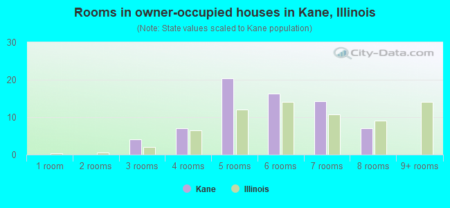 Rooms in owner-occupied houses in Kane, Illinois
