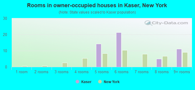 Rooms in owner-occupied houses in Kaser, New York