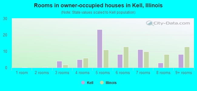 Rooms in owner-occupied houses in Kell, Illinois