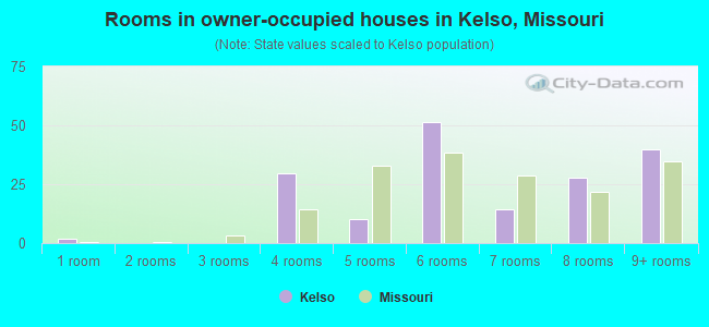 Rooms in owner-occupied houses in Kelso, Missouri