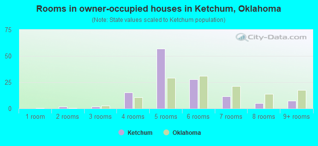 Rooms in owner-occupied houses in Ketchum, Oklahoma