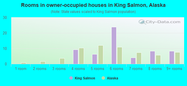 Rooms in owner-occupied houses in King Salmon, Alaska