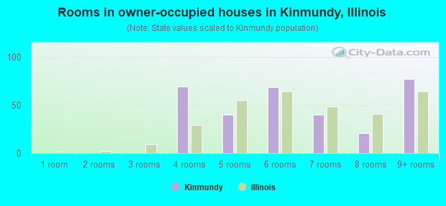 Rooms in owner-occupied houses in Kinmundy, Illinois