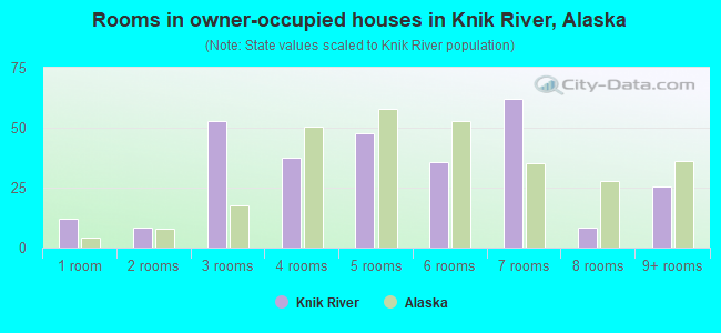 Rooms in owner-occupied houses in Knik River, Alaska