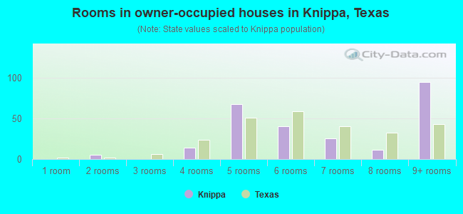 Rooms in owner-occupied houses in Knippa, Texas