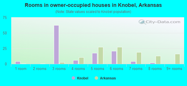 Rooms in owner-occupied houses in Knobel, Arkansas