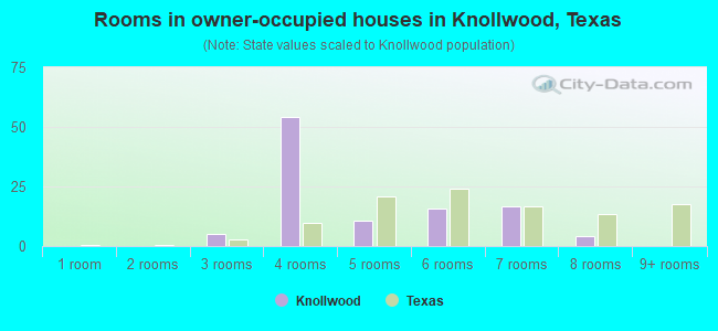 Rooms in owner-occupied houses in Knollwood, Texas