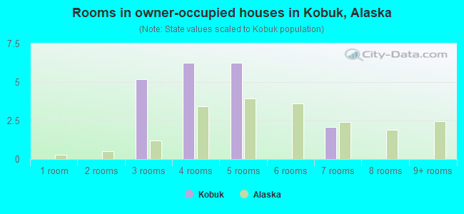 Rooms in owner-occupied houses in Kobuk, Alaska