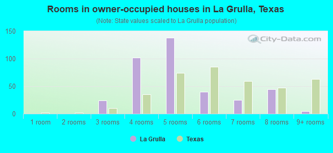 Rooms in owner-occupied houses in La Grulla, Texas