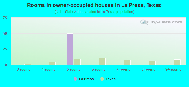 Rooms in owner-occupied houses in La Presa, Texas