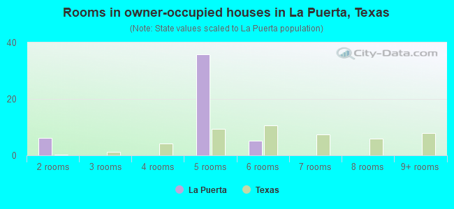 Rooms in owner-occupied houses in La Puerta, Texas