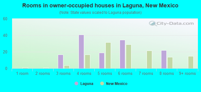 Rooms in owner-occupied houses in Laguna, New Mexico