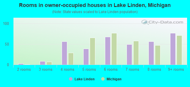 Rooms in owner-occupied houses in Lake Linden, Michigan