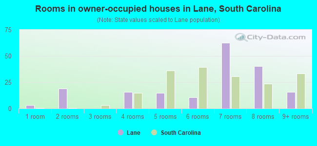 Rooms in owner-occupied houses in Lane, South Carolina