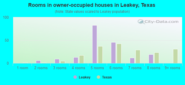 Rooms in owner-occupied houses in Leakey, Texas