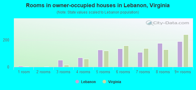 Rooms in owner-occupied houses in Lebanon, Virginia