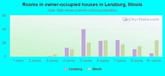 Rooms in owner-occupied houses in Lenzburg, Illinois