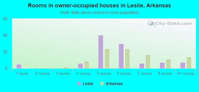 Rooms in owner-occupied houses in Leslie, Arkansas