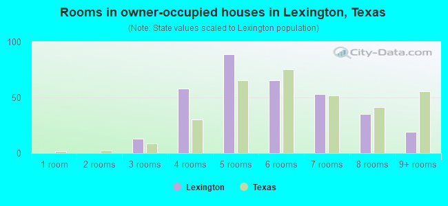 Rooms in owner-occupied houses in Lexington, Texas