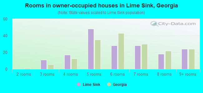 Rooms in owner-occupied houses in Lime Sink, Georgia