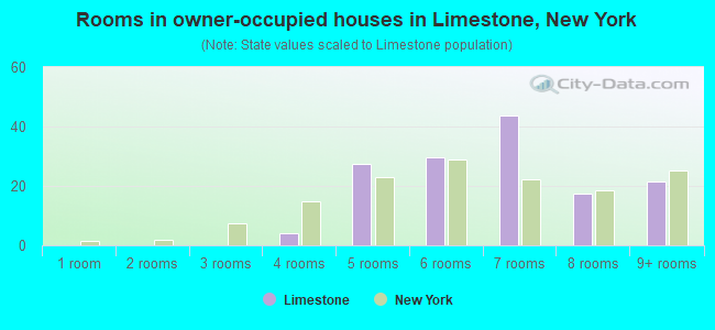 Rooms in owner-occupied houses in Limestone, New York