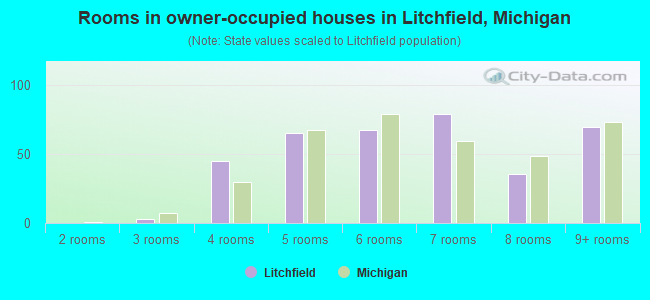Rooms in owner-occupied houses in Litchfield, Michigan