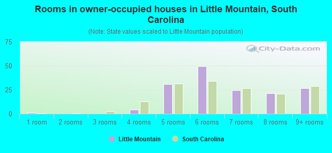 Rooms in owner-occupied houses in Little Mountain, South Carolina