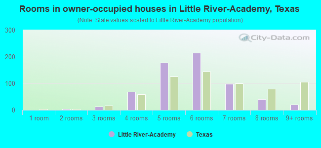 Rooms in owner-occupied houses in Little River-Academy, Texas