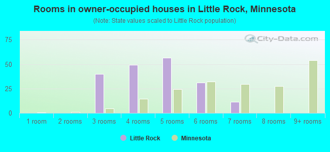 Rooms in owner-occupied houses in Little Rock, Minnesota
