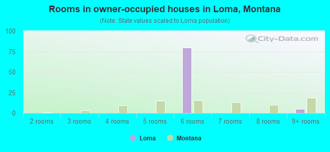 Rooms in owner-occupied houses in Loma, Montana