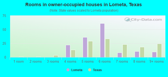 Rooms in owner-occupied houses in Lometa, Texas