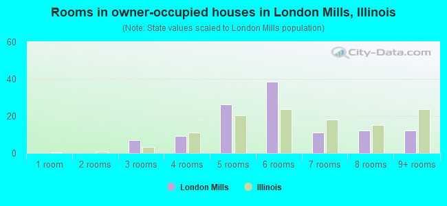 Rooms in owner-occupied houses in London Mills, Illinois