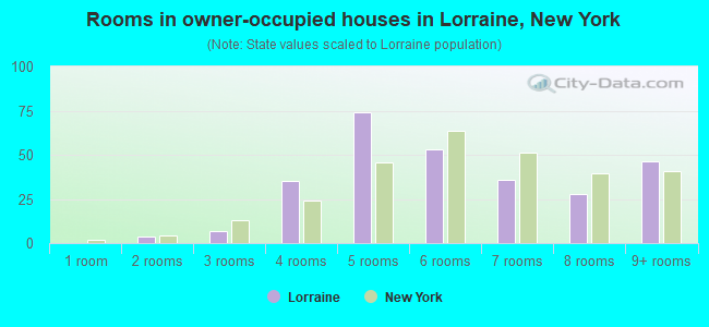 Rooms in owner-occupied houses in Lorraine, New York