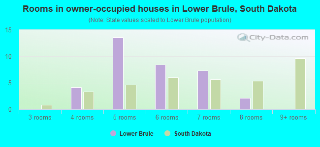 Rooms in owner-occupied houses in Lower Brule, South Dakota