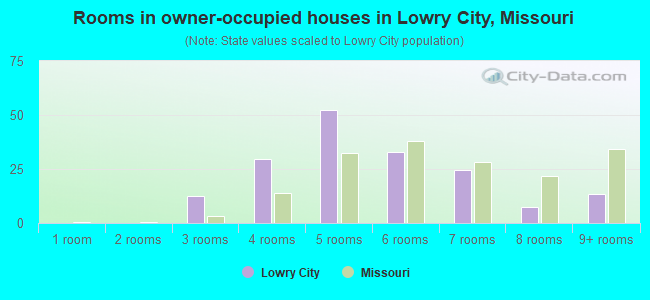 Rooms in owner-occupied houses in Lowry City, Missouri