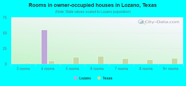 Rooms in owner-occupied houses in Lozano, Texas