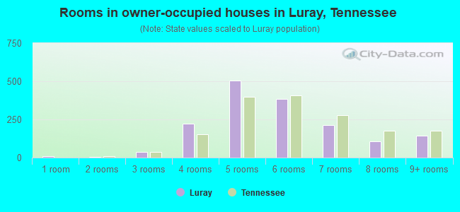 Rooms in owner-occupied houses in Luray, Tennessee