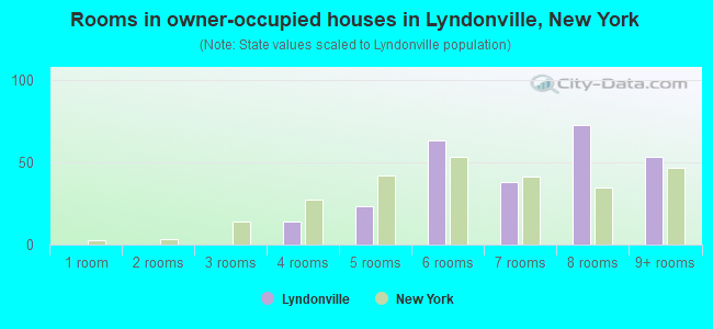 Rooms in owner-occupied houses in Lyndonville, New York