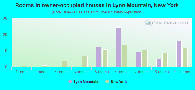 Rooms in owner-occupied houses in Lyon Mountain, New York