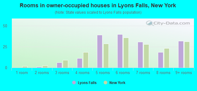 Rooms in owner-occupied houses in Lyons Falls, New York