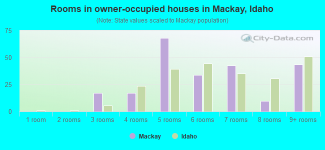 Rooms in owner-occupied houses in Mackay, Idaho