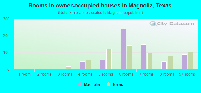 Rooms in owner-occupied houses in Magnolia, Texas