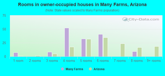 Rooms in owner-occupied houses in Many Farms, Arizona